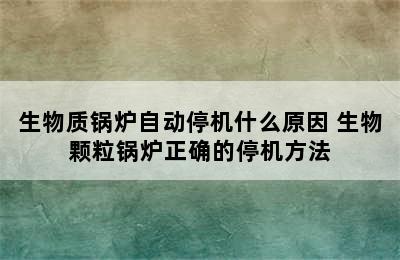 生物质锅炉自动停机什么原因 生物颗粒锅炉正确的停机方法